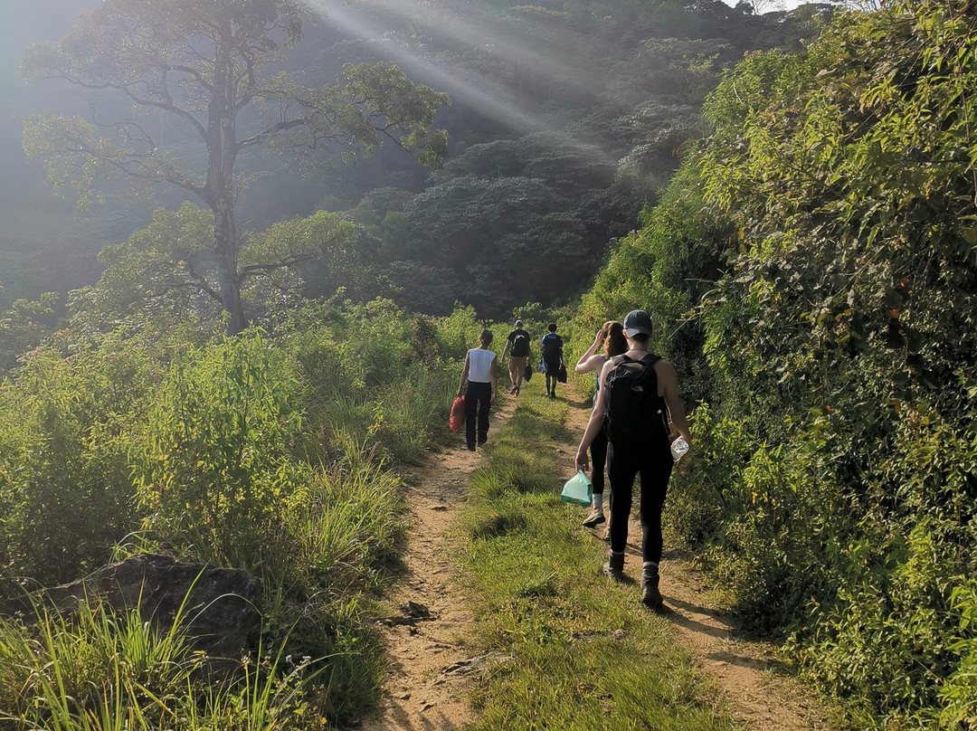 Knuckles Trekking with Gamini