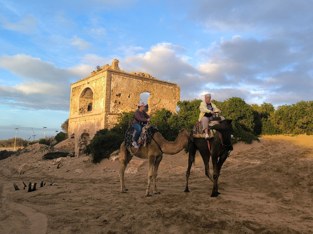 Dar Sultan Palace-Diabat必去景点