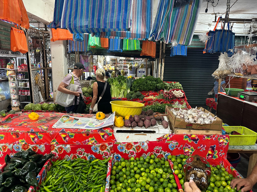 Carelsy Private Tours & Properties-印坦巴/芝华塔尼欧必去景点