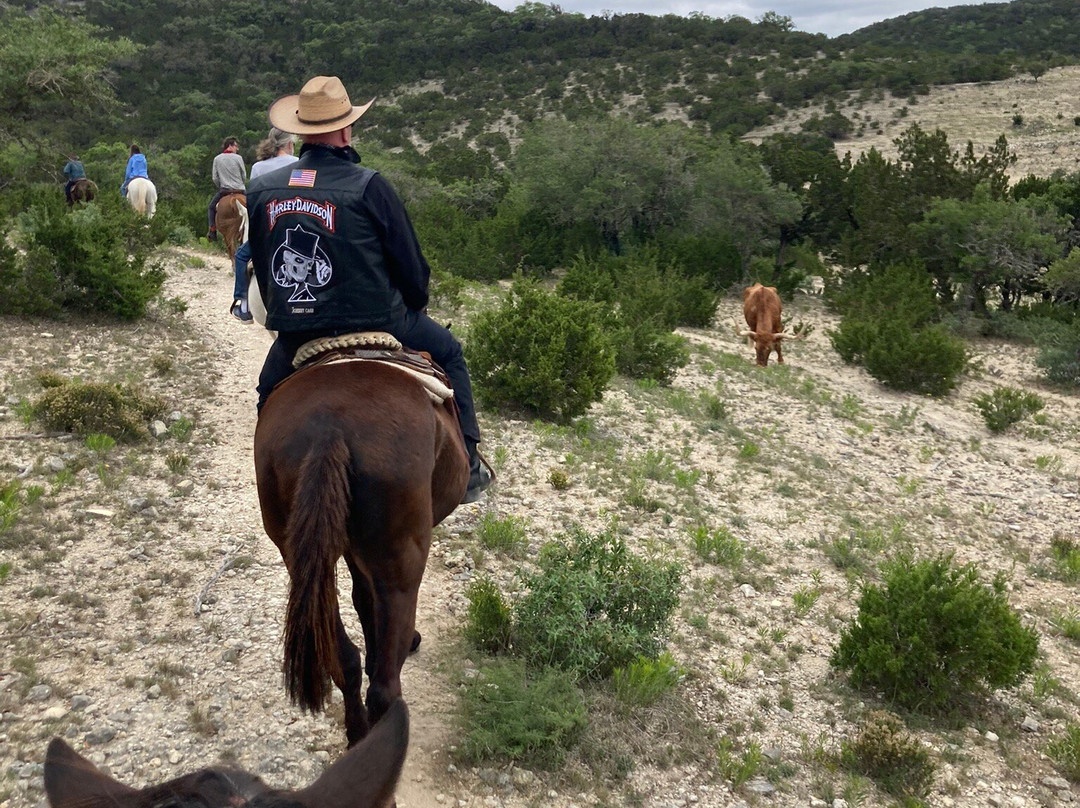 Dixie Dude Ranch景点图片