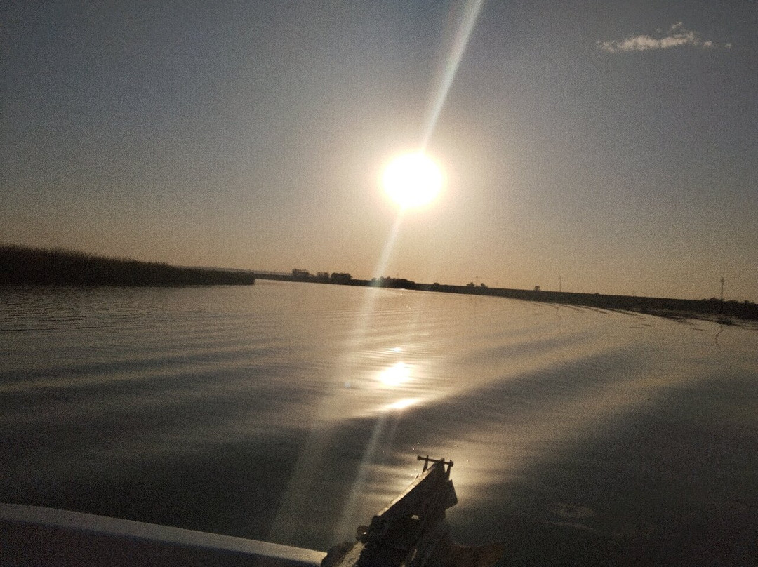 Cracklin' Rosie River Tours-Velddrif必去景点