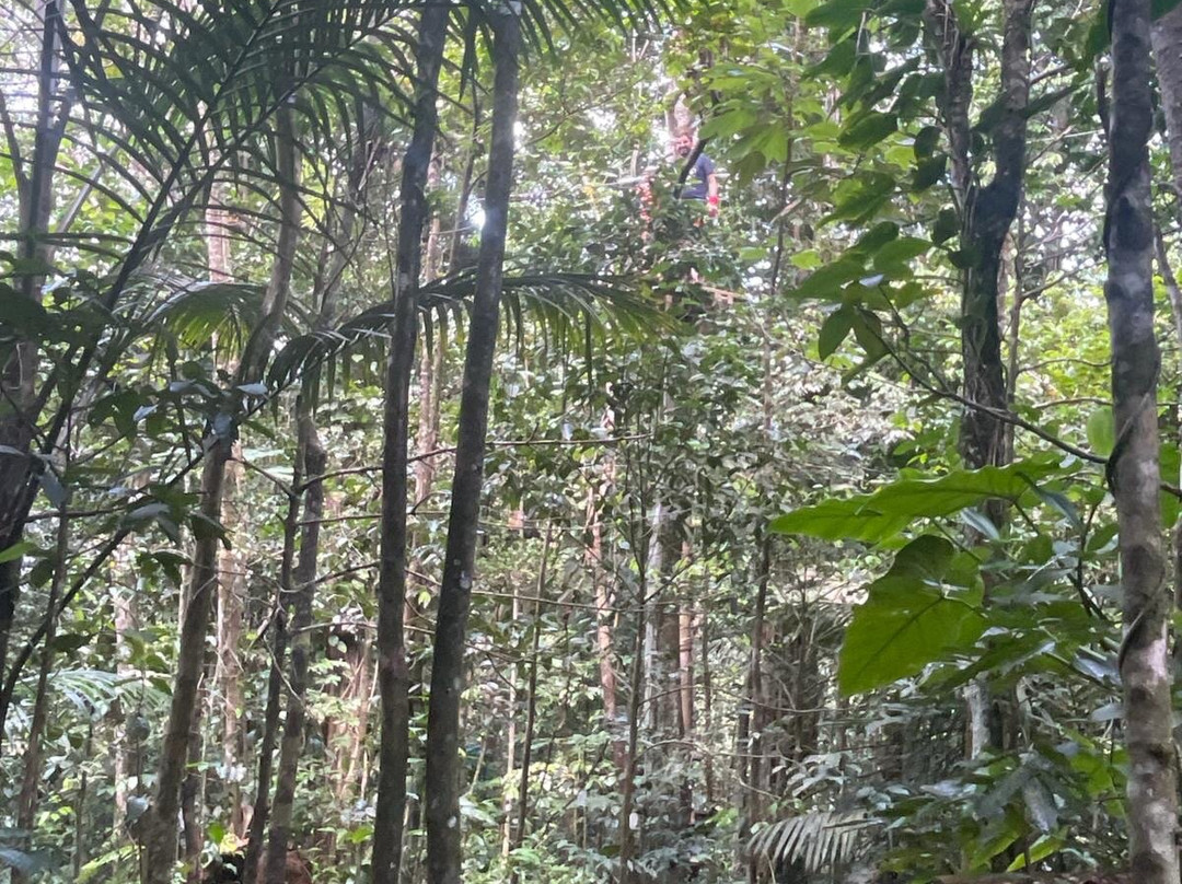 Le Tapeur-Pointe-Noire必去景点