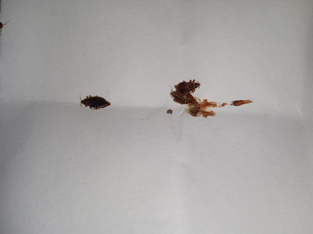 东方大酒店主图