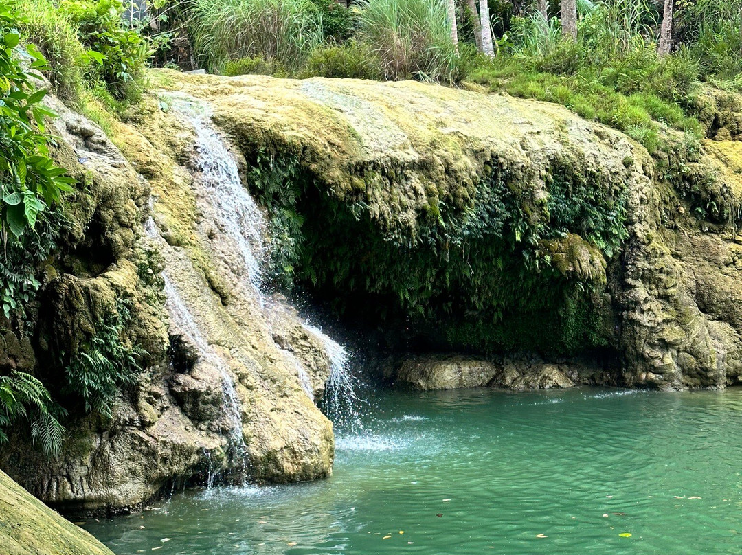 Panga Falls景点图片