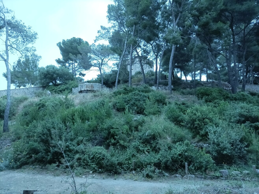 Espace Mer et Littoral-安提贝必去景点