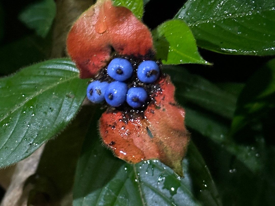 GreenPoint Drake Bay主图