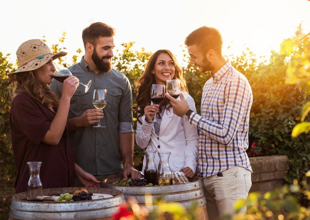 Vineyard Escapes: Explore Long Island Wines