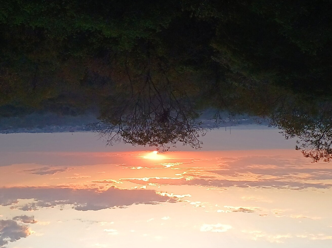Parque Mãe Bonifácia景点图片
