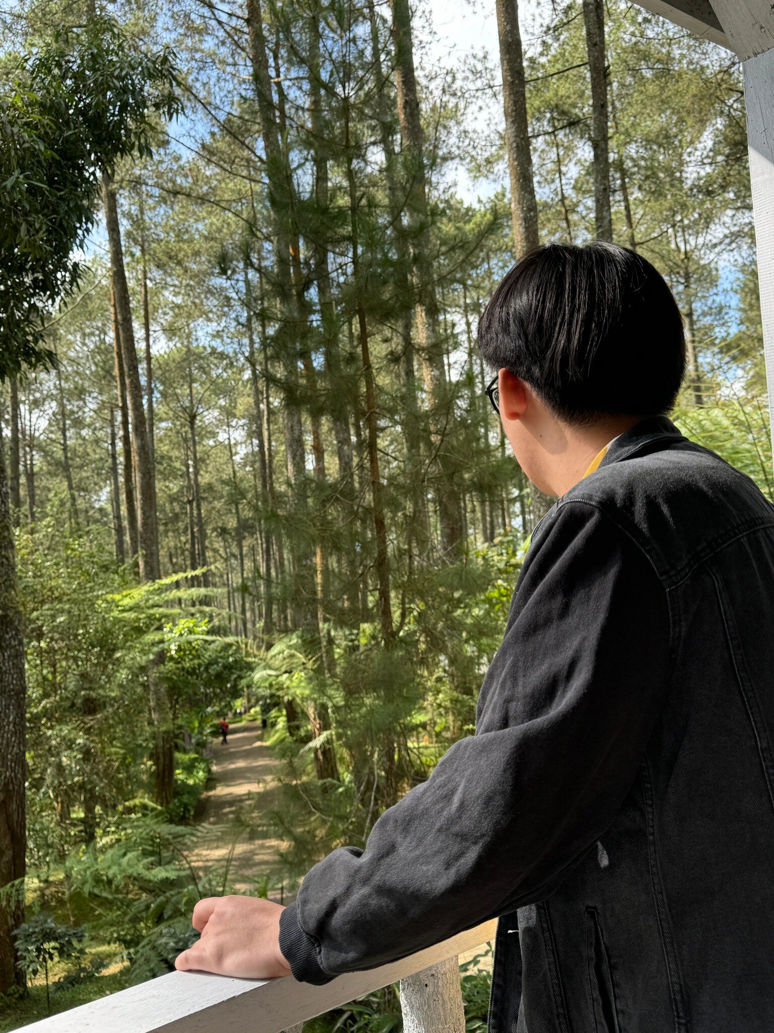 Orchid Forest Cikole-2024年7月3日上传的实拍图