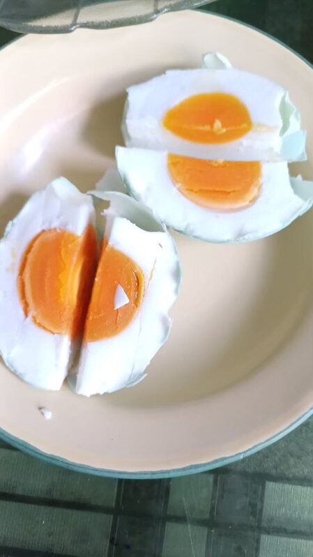 Telor Asin Aseli Ny. Robot-2024年7月5日上传的实拍图