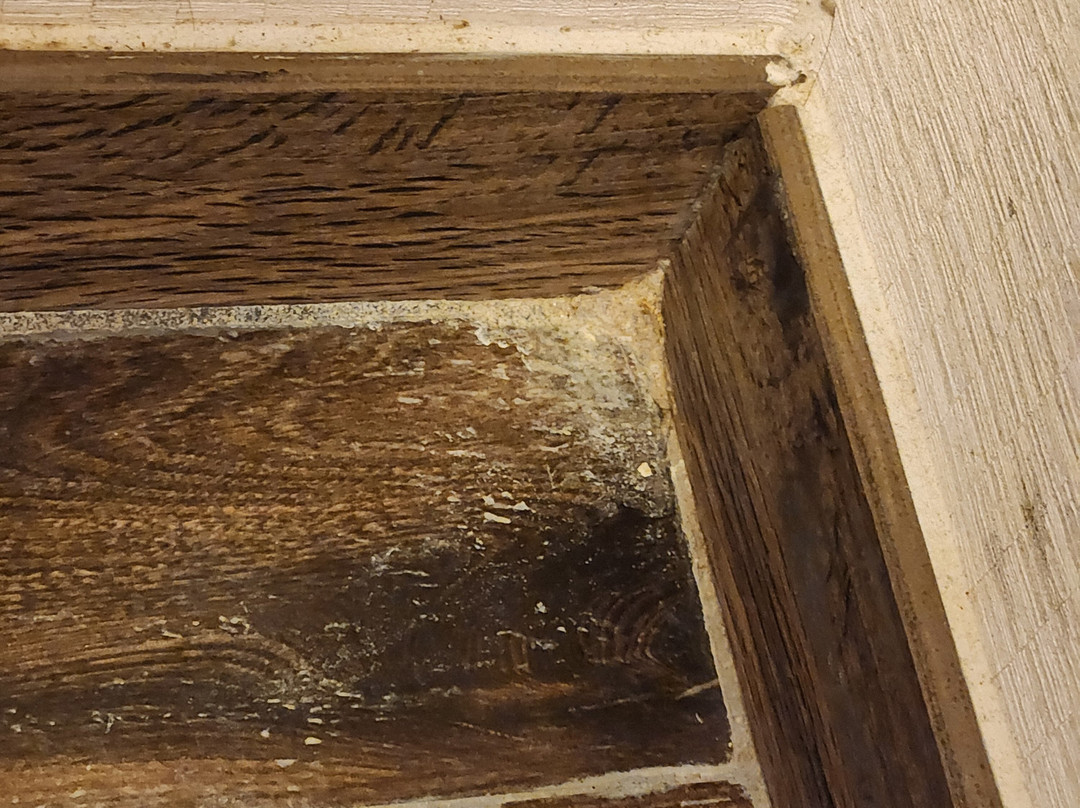 Hampton Inn Brooksville Dade City主图