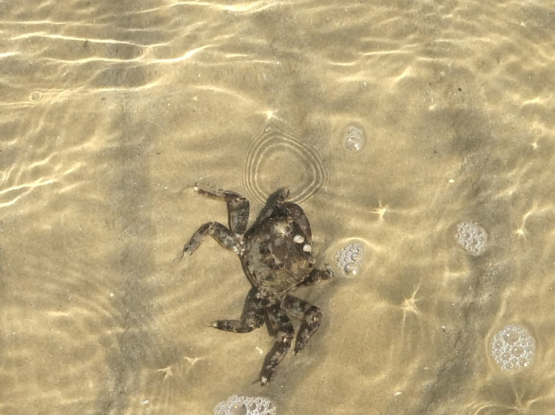 露依格酒店主图