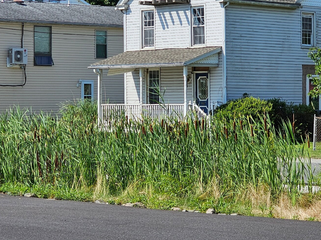 Jean S. Roberts Memorial Park-Havre de Grace必去景点
