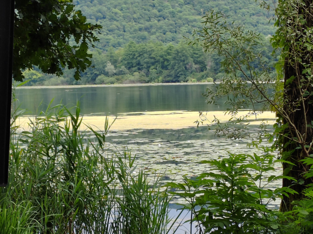 Lago di Fimon景点图片