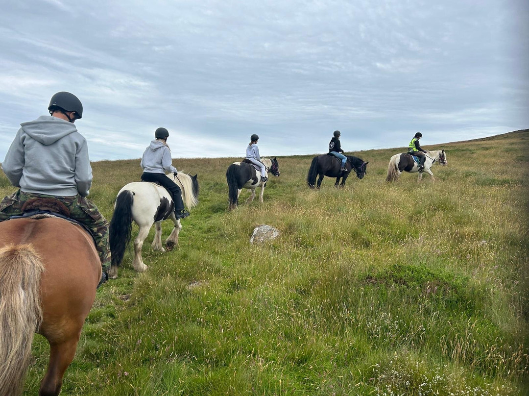 Preseli Pony Trekking-Mynachlogddu必去景点