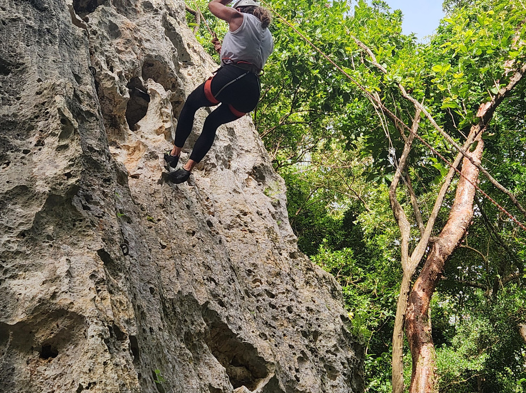 Roca Norte Outdoor Climbing Gym-Vega Baja必去景点