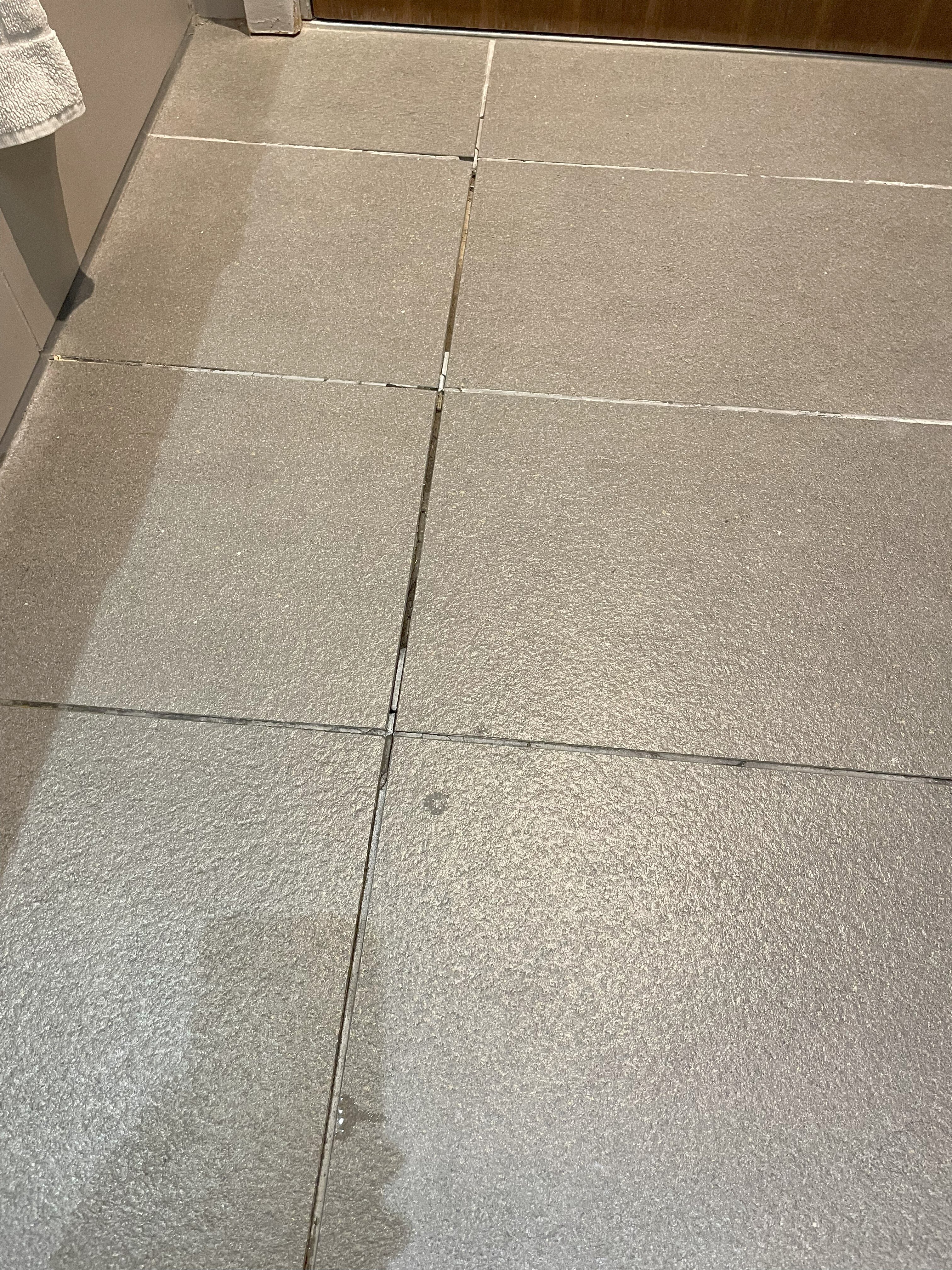 逸林酒店-希尔顿林肯酒店-浴室