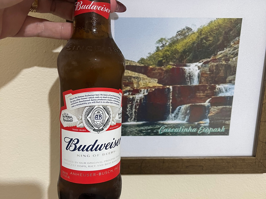 米纳斯图尔酒店主图