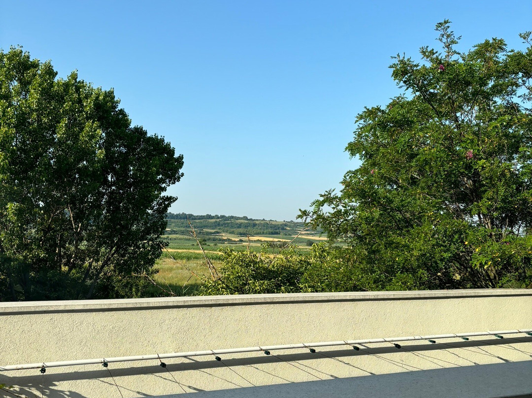 Hotel Gracanica主图