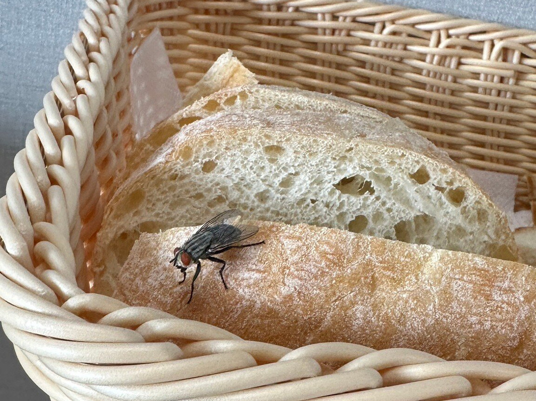 Reikartz Miramar Chornomorsk