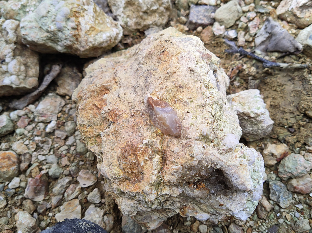 Mine d'agates du Mont Lyall-Sainte Anne des Monts必去景点