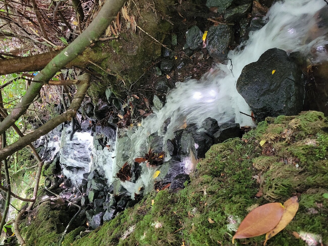 Kilfane Waterfall and Glen-Thomastown必去景点
