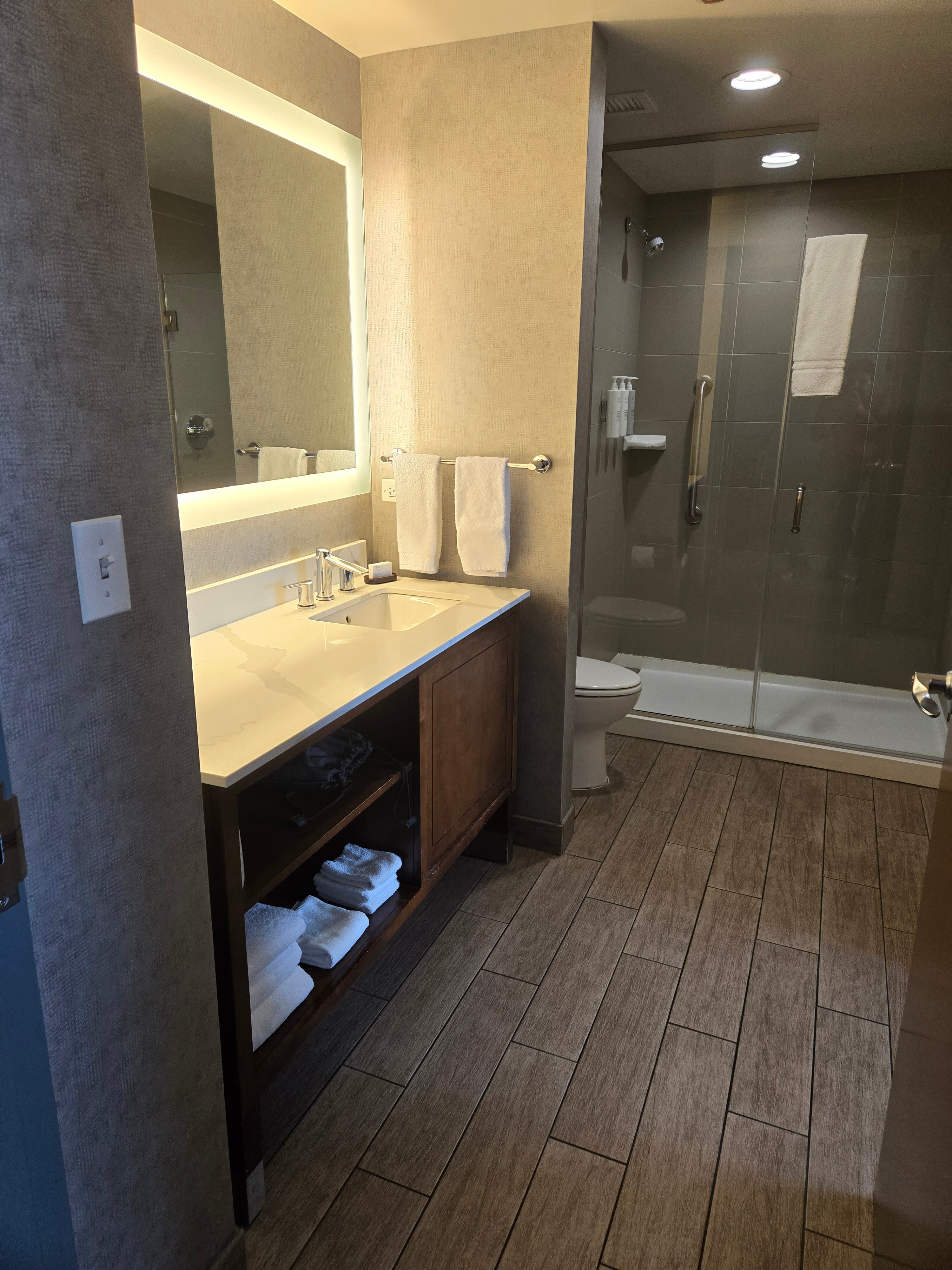 Embassy Suites by Hilton Chicago Naperville-浴室