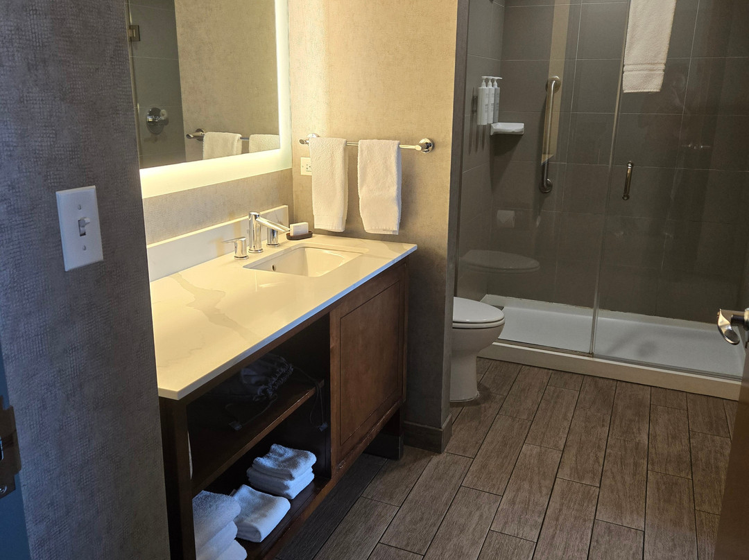 Embassy Suites by Hilton Chicago Naperville主图