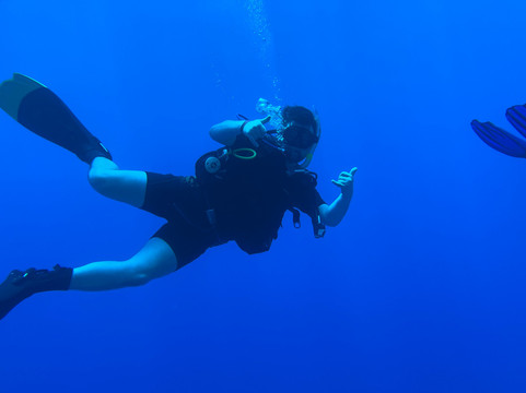 Scubadreamers Dive Travel