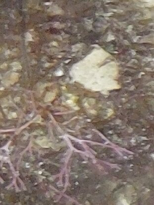 Il-kalanka Beach-Marsaxlokk必去景点