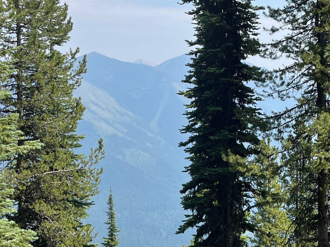 Glacier Ridge Runners景点图片