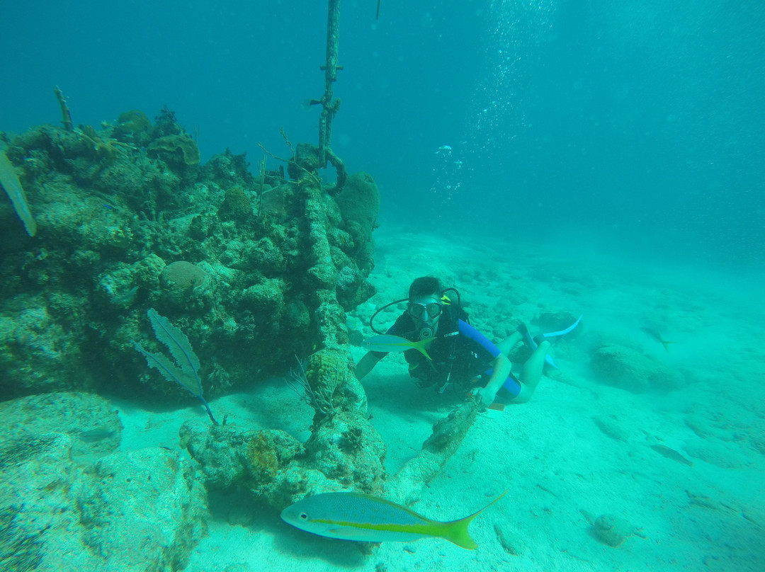 UnderwaterCuba景点图片