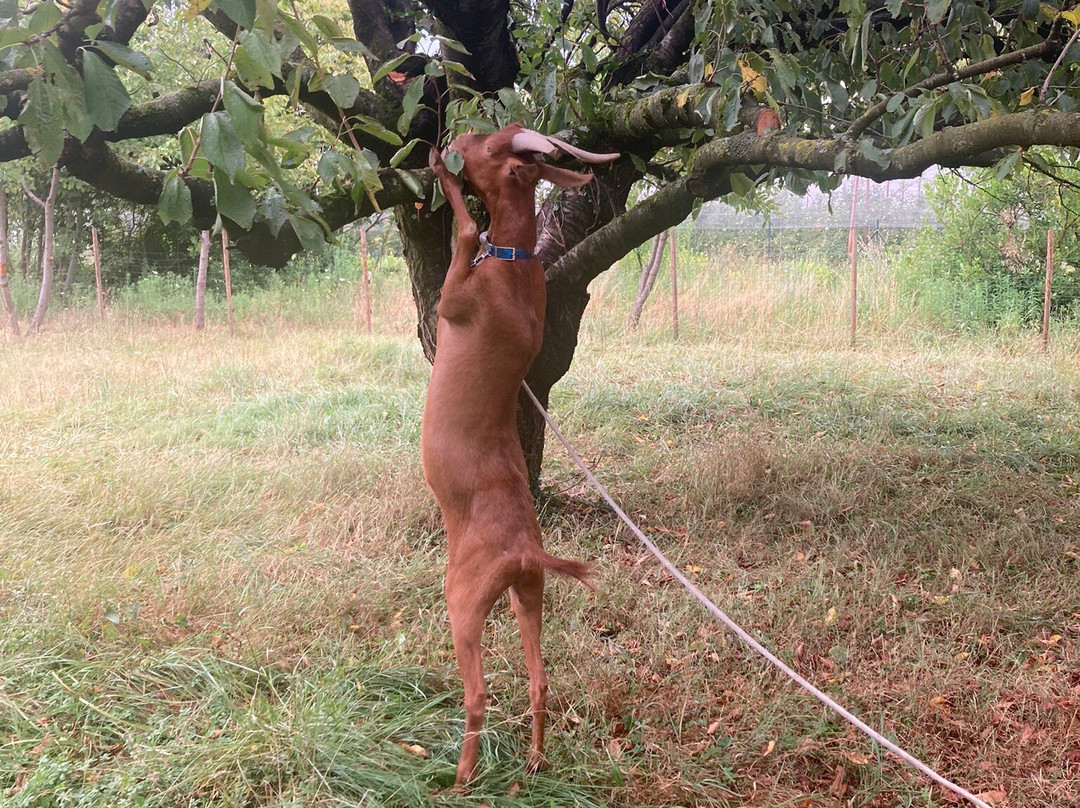 La Vigne Blanche主图