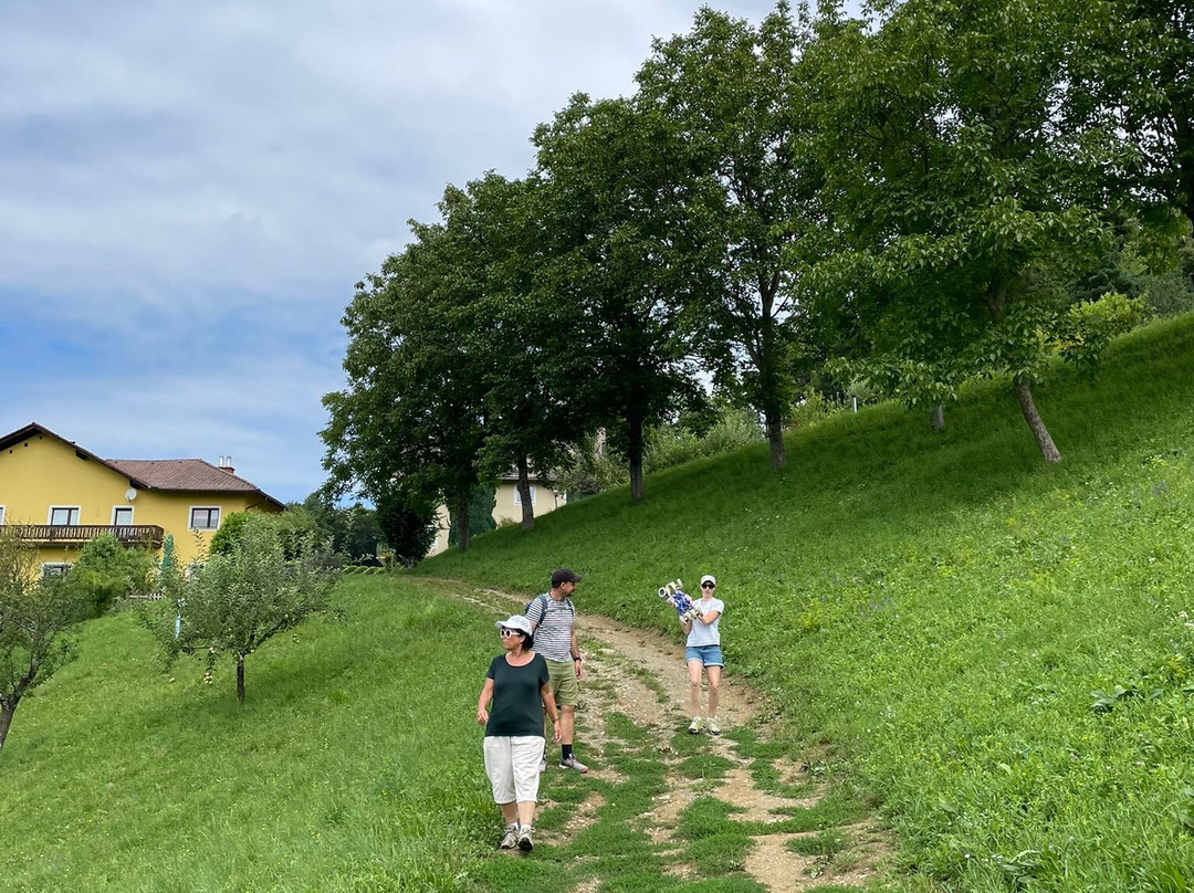 Weingut Fellner主图