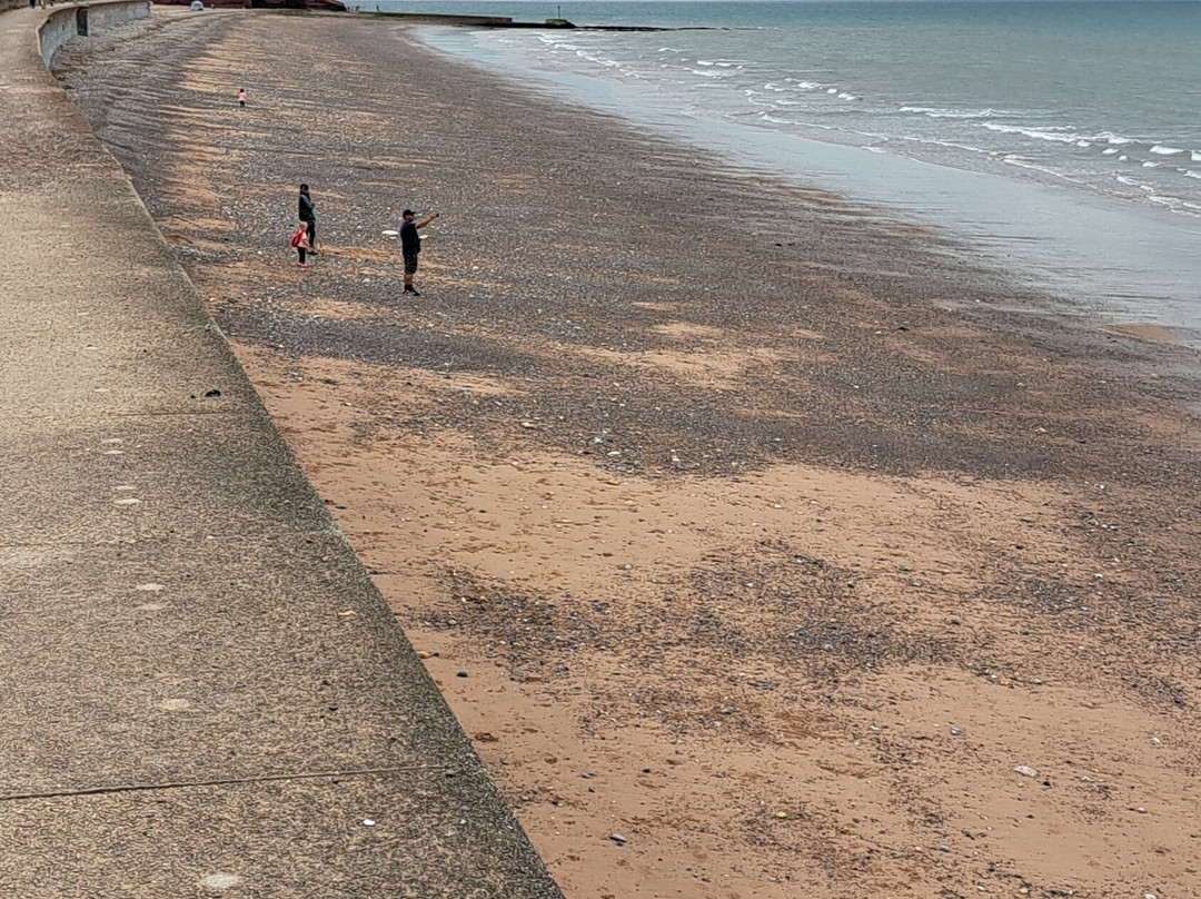 Dawlish To Dawlish Warren-道利什必去景点