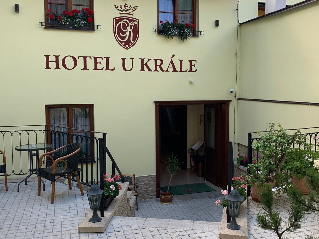 Hotel U Krale主图