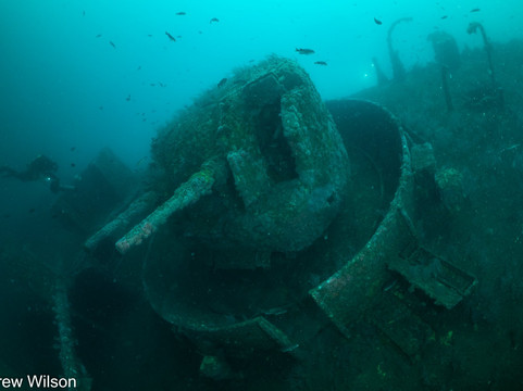 Marissa Dive Charters-圣地亚哥必去景点