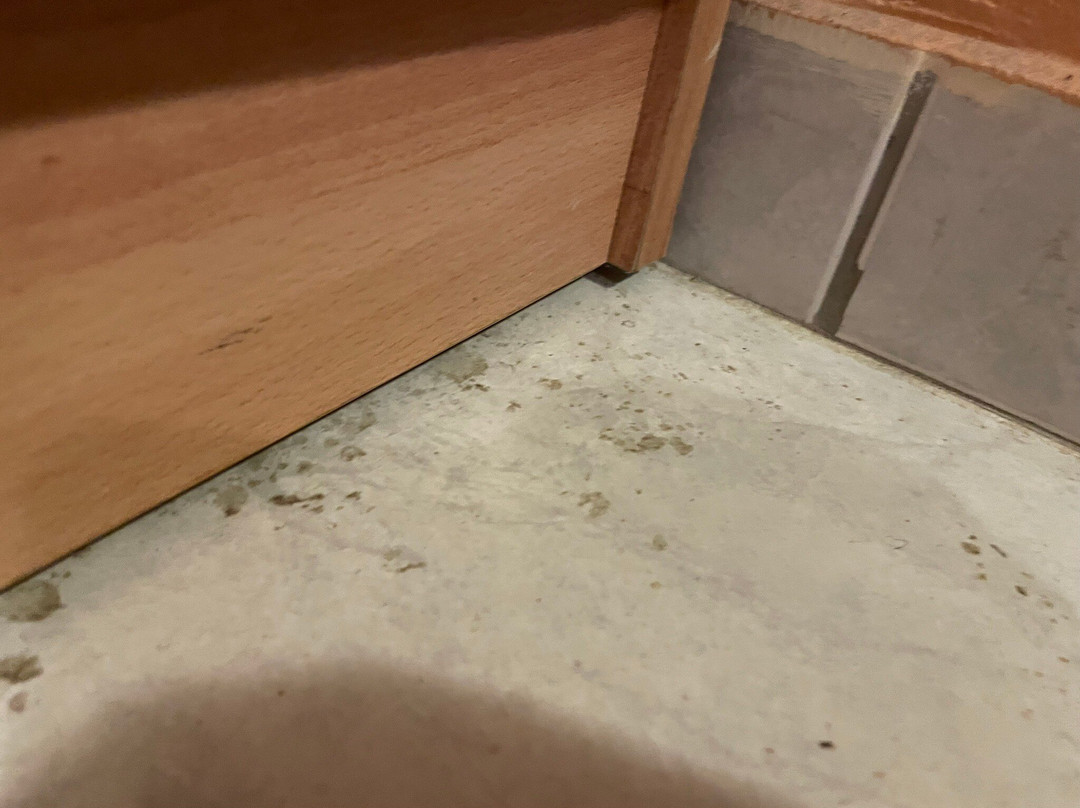 George & Dawn Hotel主图