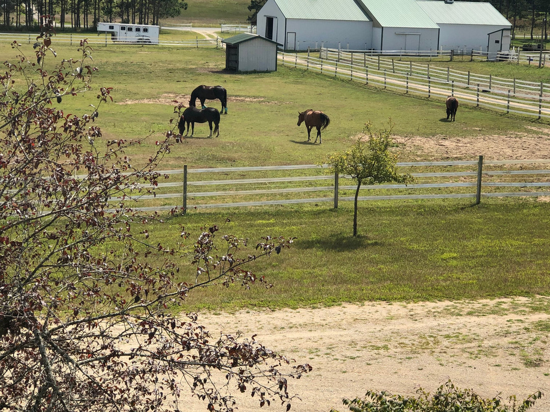 Outback Lodge and Stables主图