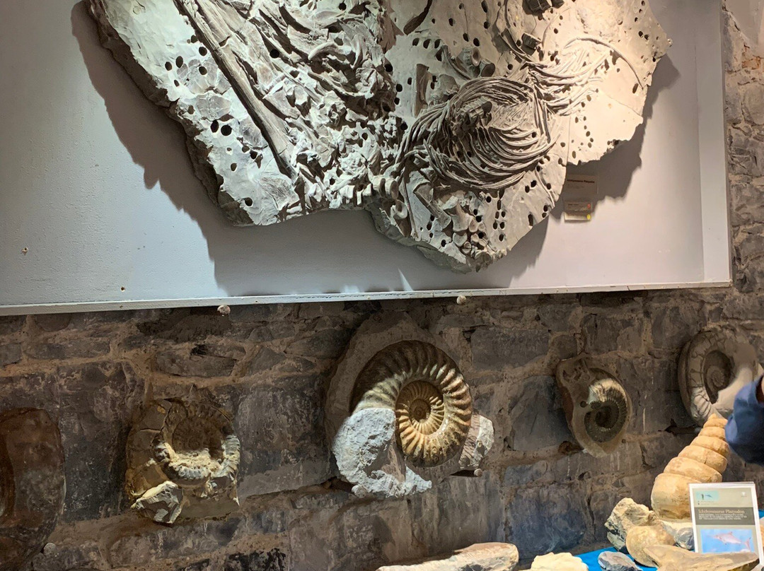 Belleek Castle Museum-巴利纳必去景点