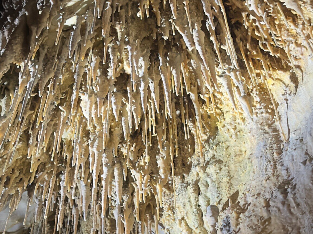 Grottes de Thouzon景点图片