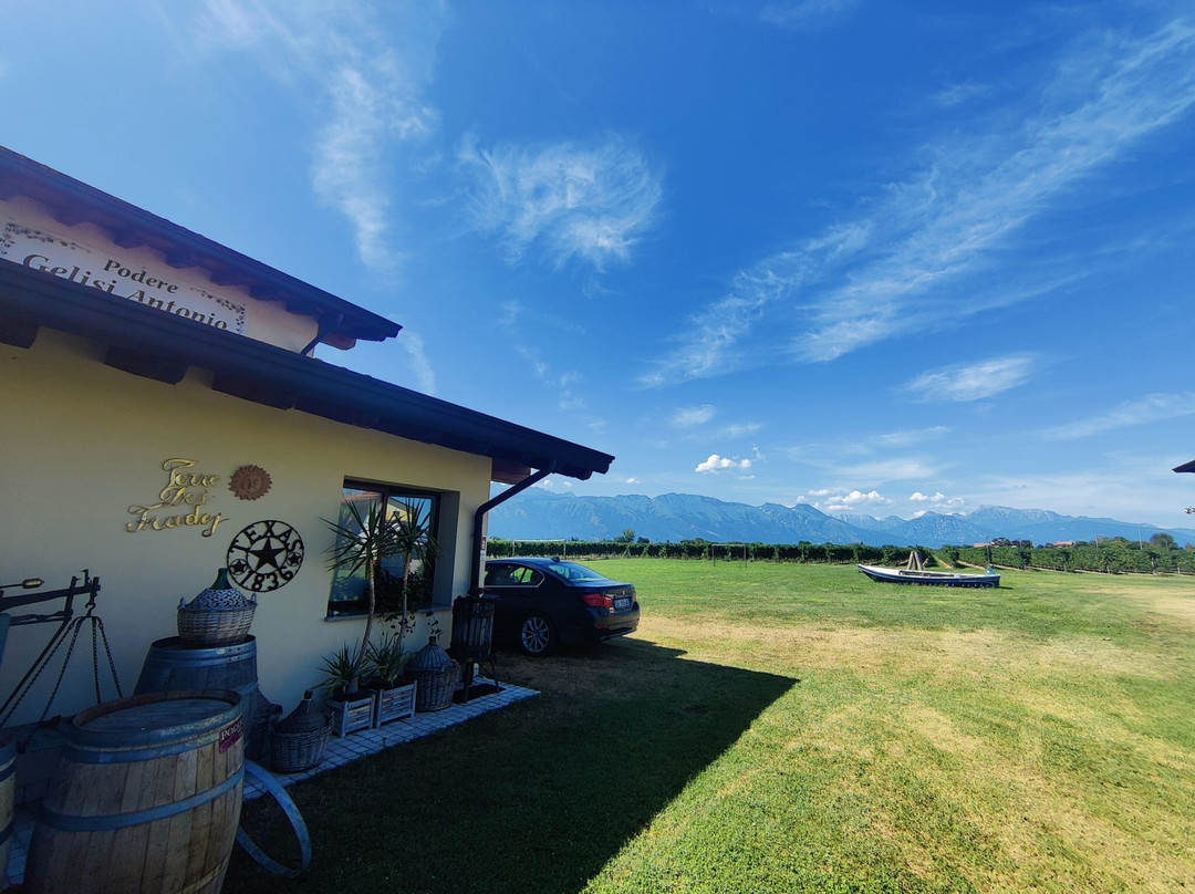 Podere Gelisi Antonio景点图片