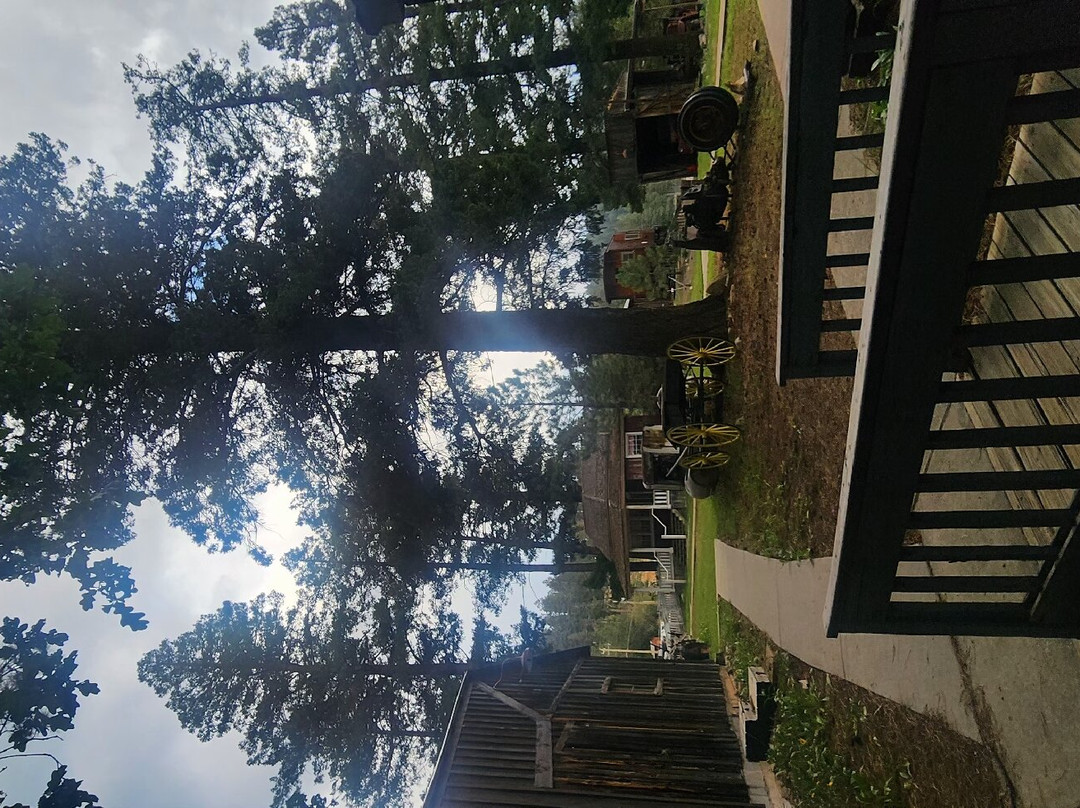 Shadow Mountain Lodge and Cabins主图