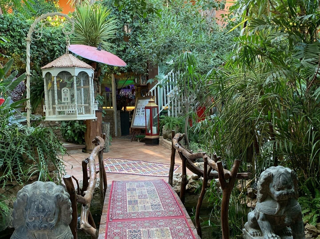 Abanicos Bar-San Juan de los Terreros必去景点