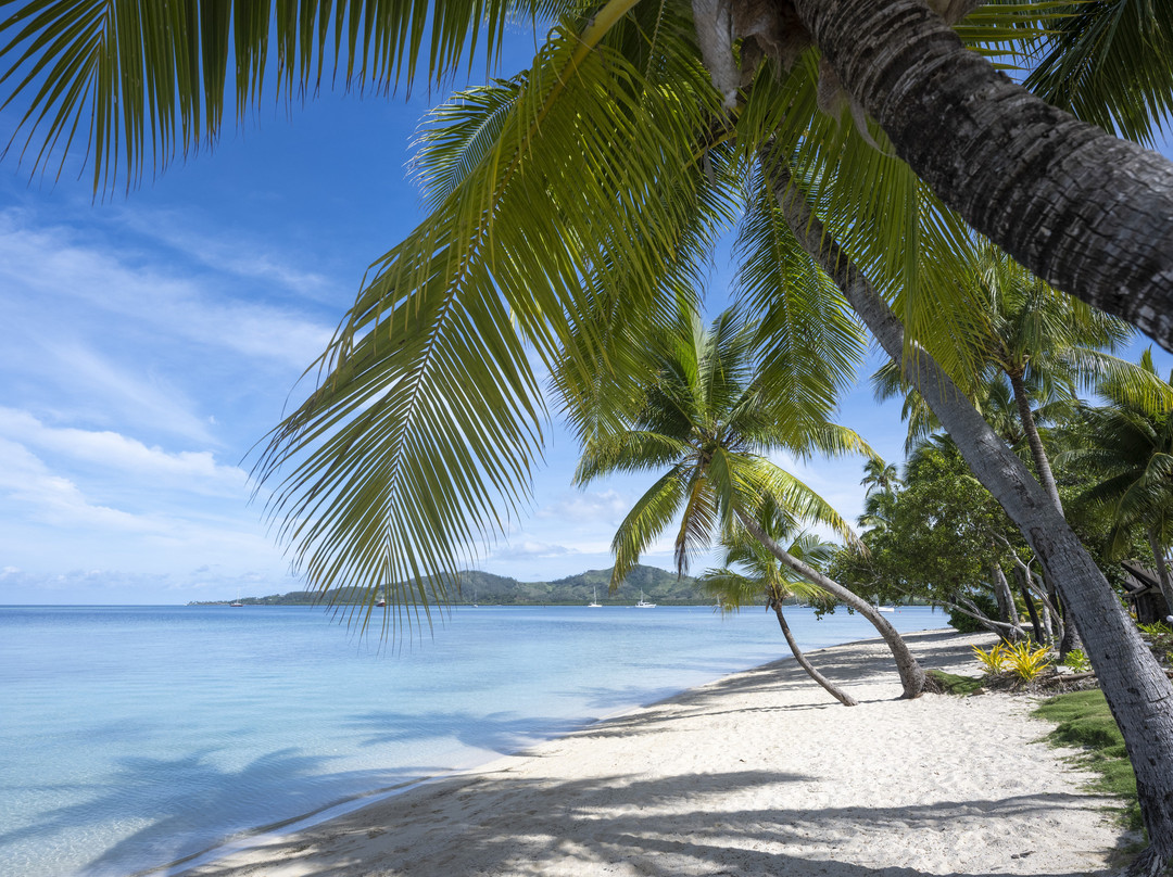 种植园岛度假酒店主图