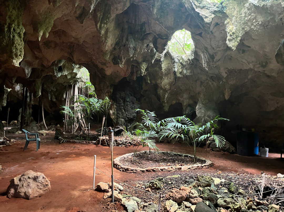 Hamilton's Cave Tours-长岛必去景点