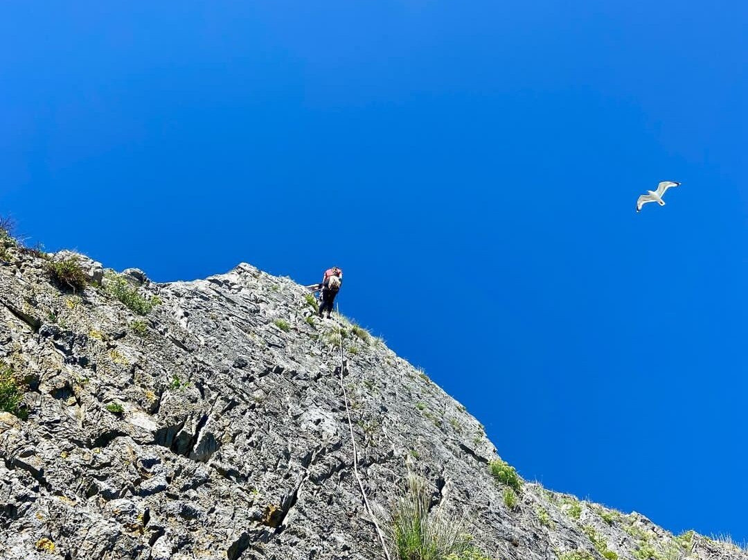 The Climbing Company景点图片