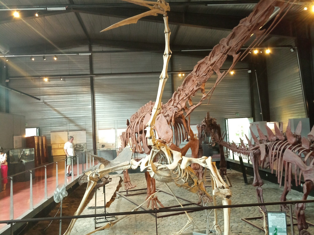 Musee des Dinosaures 'Dinosauria'景点图片