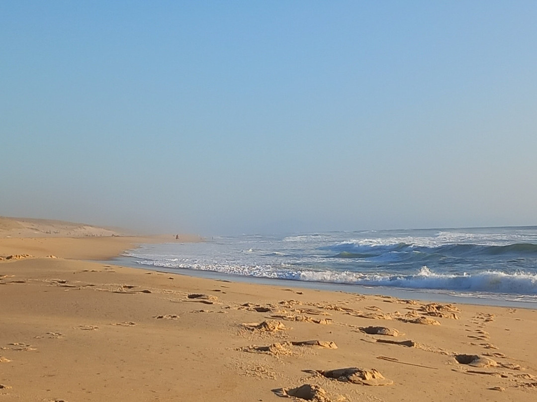 Plage de Moliets景点图片