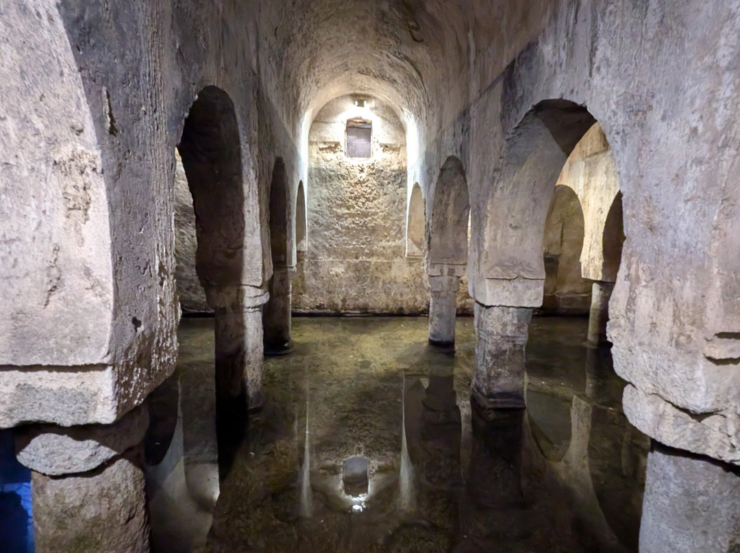 Guias-Historiadores de Extremadura-卡塞雷斯必去景点